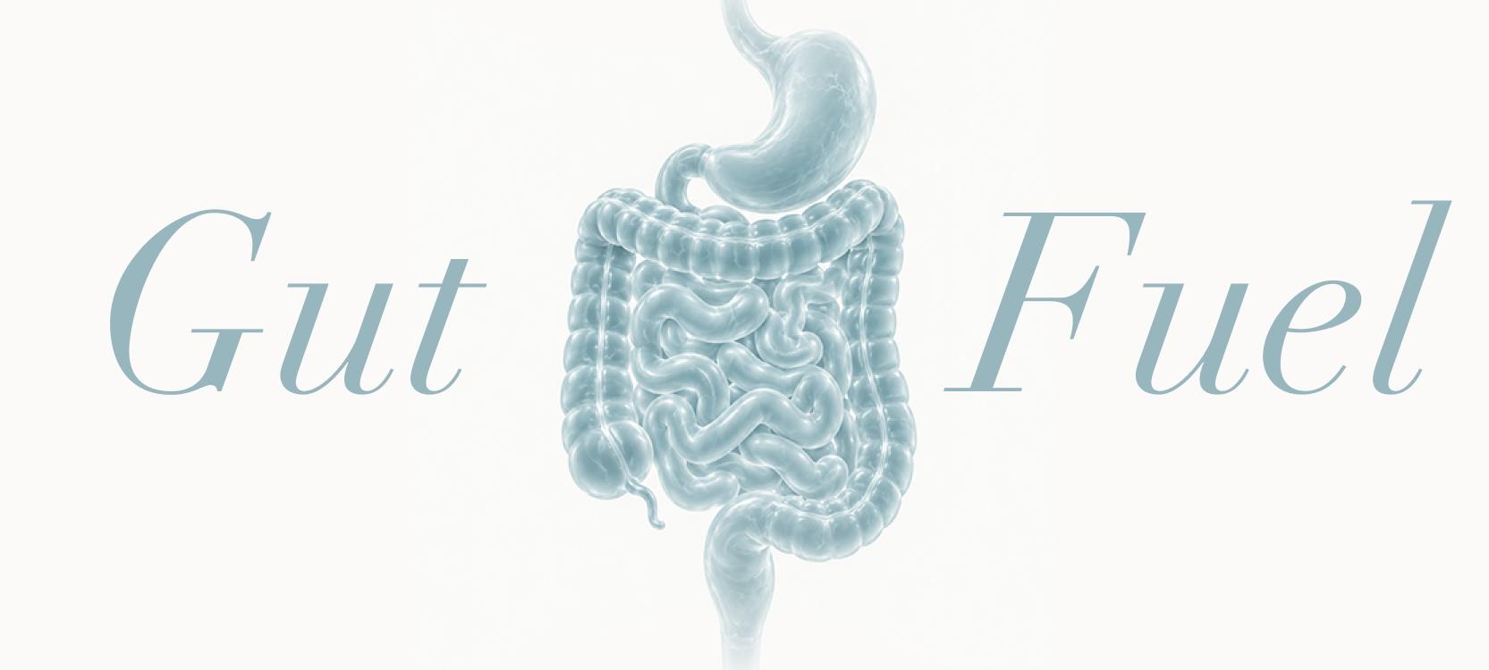 Butyrate and Short-Chain Fatty Acids: What Your Gut Bacteria Make (and Where Ghee Fits)