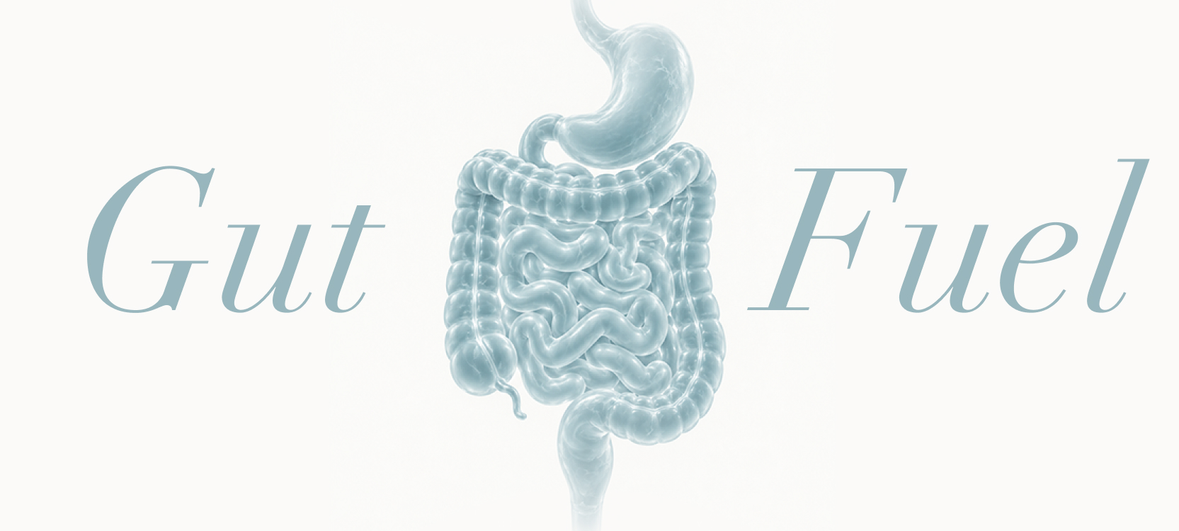 Butyrate and Short-Chain Fatty Acids: What Your Gut Bacteria Make (and Where Ghee Fits)