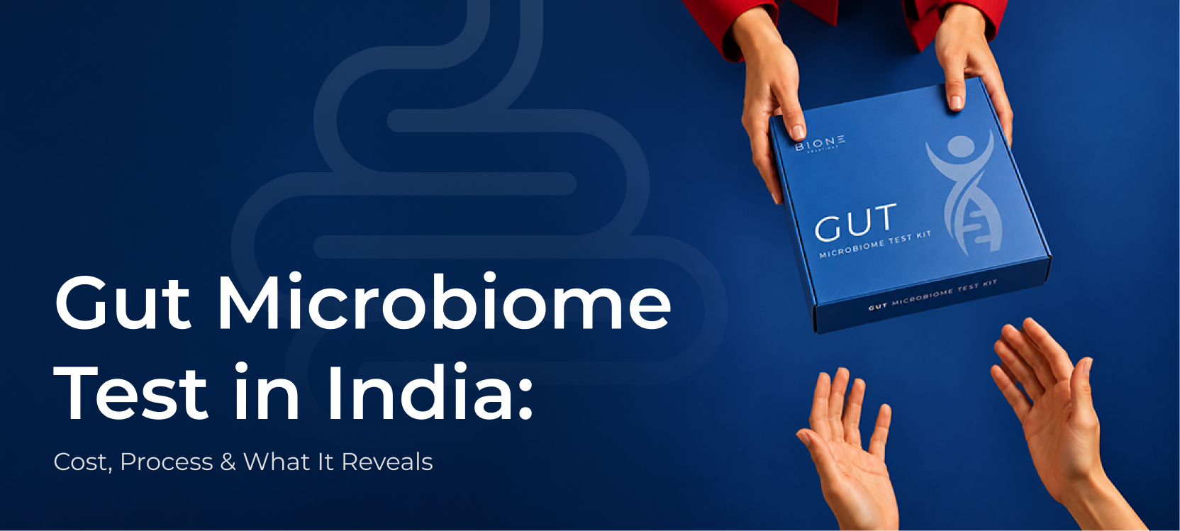 Gut Microbiome Test in India: Cost, Process & What It Reveals (2026 Guide)