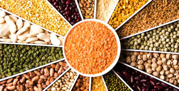 Best Lentils for Protein Intake