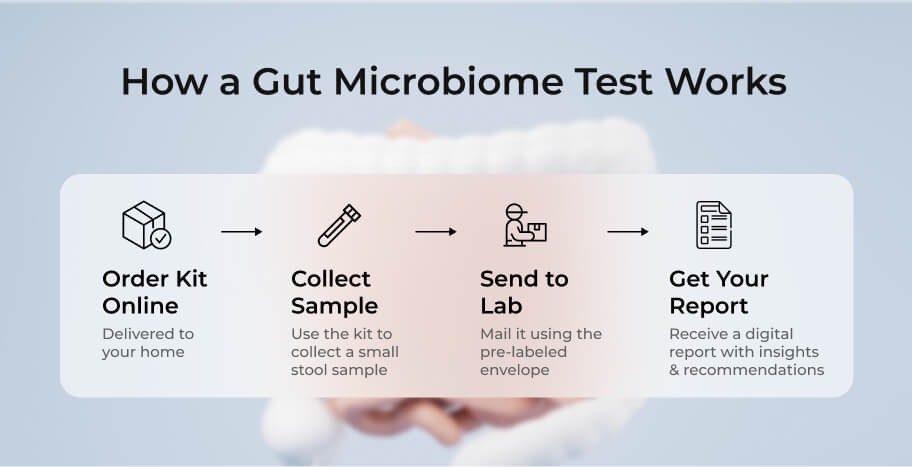 How Does a Gut Microbiome Test Work?