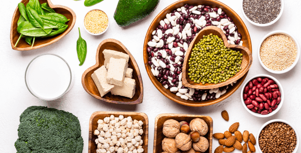 Plant-Based Protein Sources
