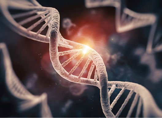 Your Genes - Precision DNA