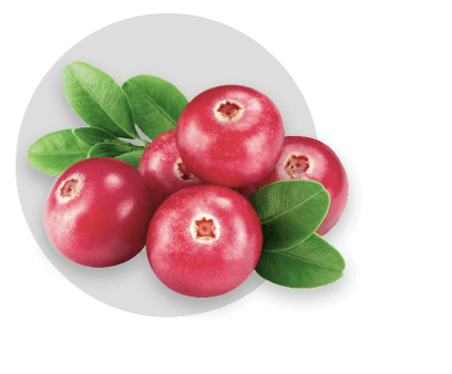 Cranberries