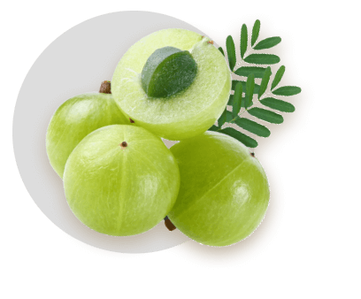 Amla