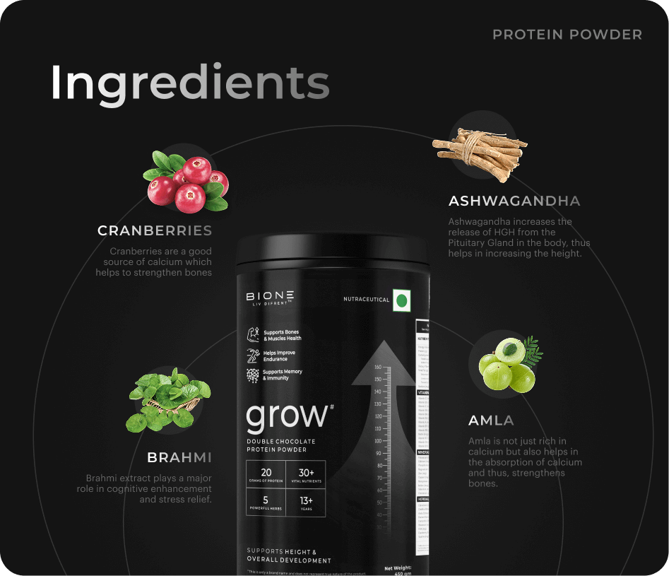 Protein Powder Ingredients