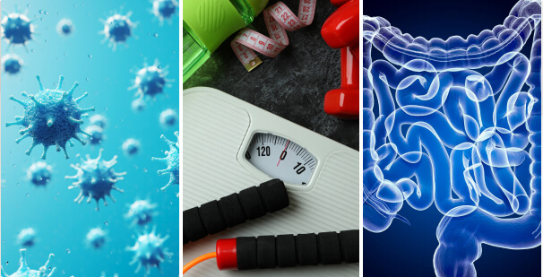 How Your Gut Microbiome Affects Your Weight